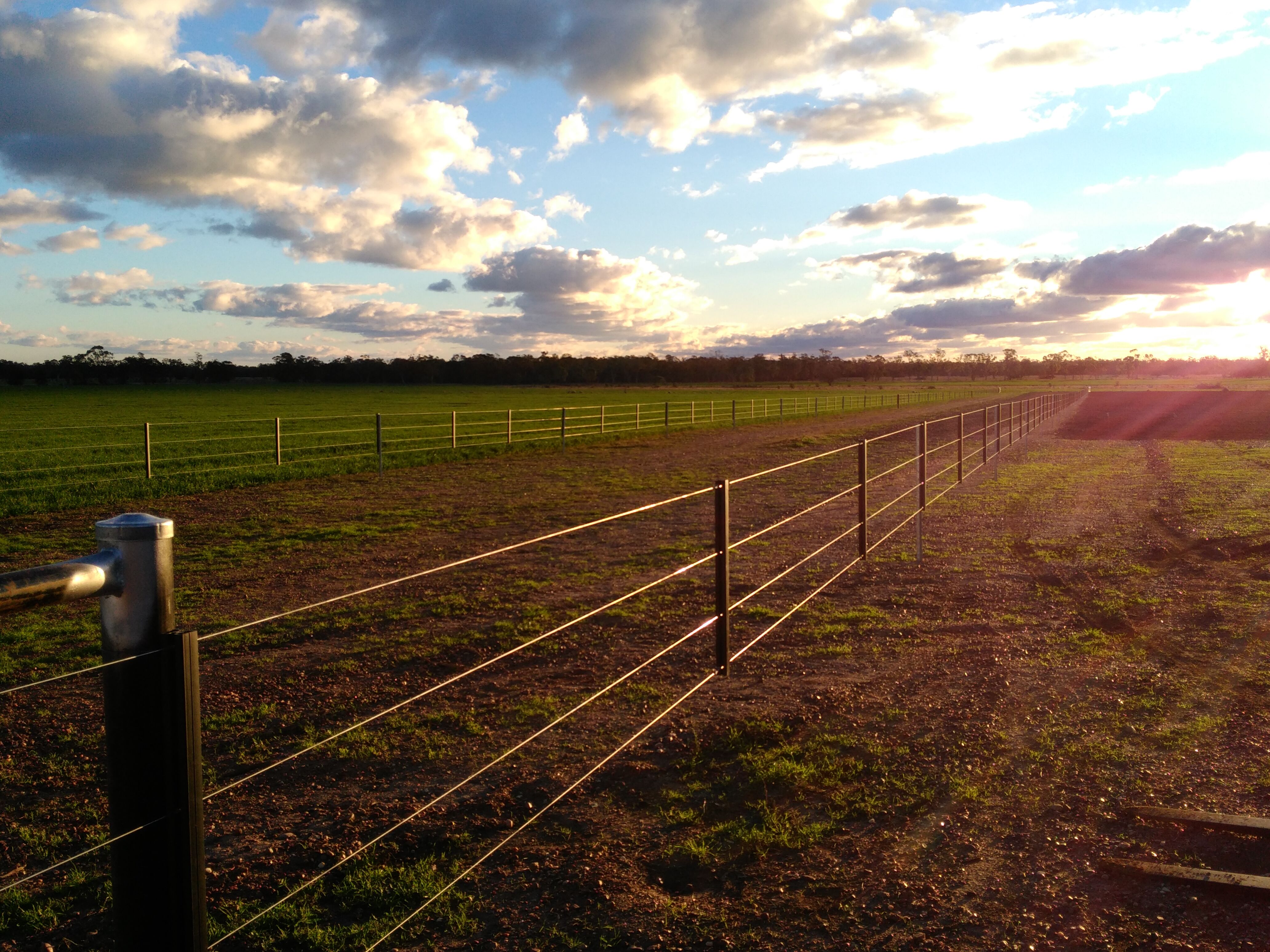 Gallagher Westonfence separates bulls from cycling cows perfectly-General Purpose