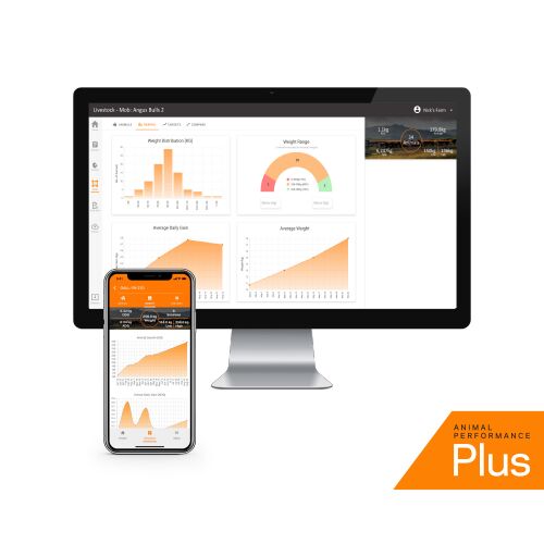 AP PLUS Analytics Desktop iPhone 500x500px-General Purpose