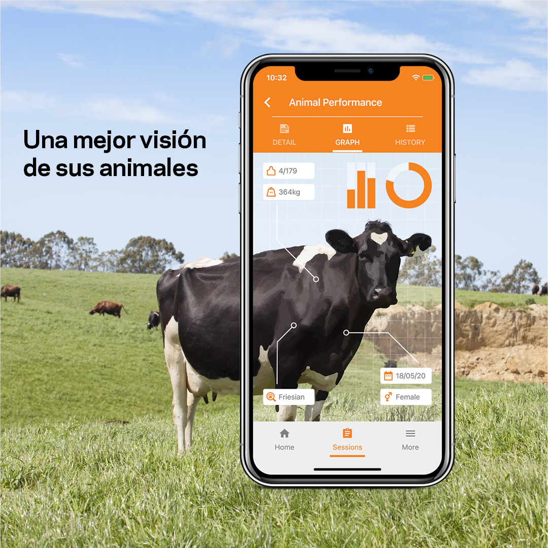 Responsive image