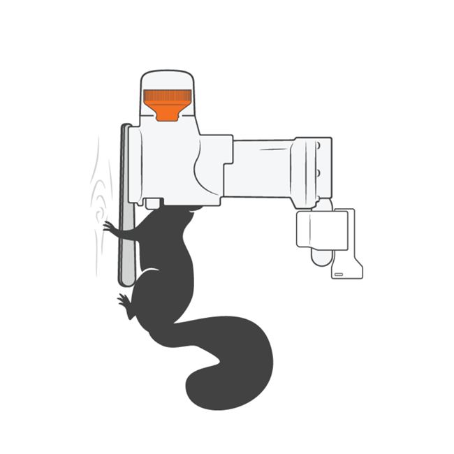 Trap Illustration 1