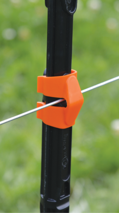 ILP clips insitu