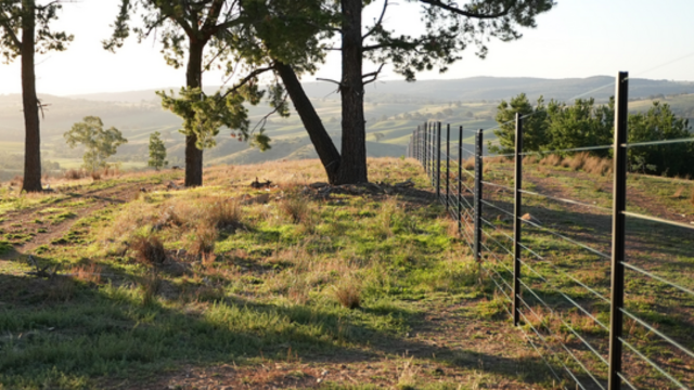 Suspension fence