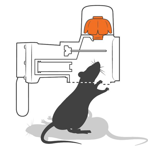 Goodnature trap how it works step 4