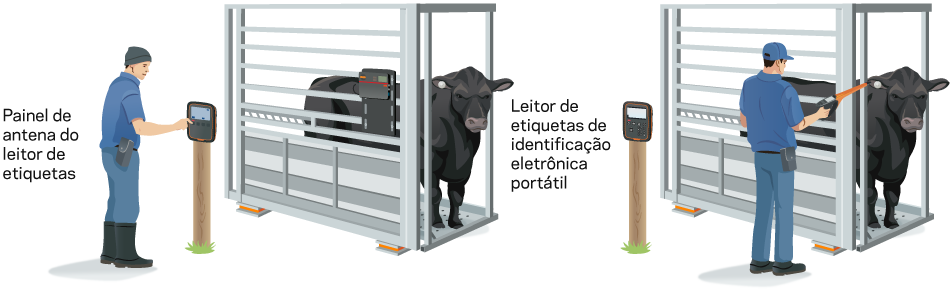 Leitor de etiquetas